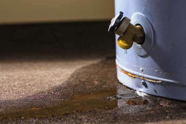 Best Flood damage cleanup  in Chesapeake Beach, MD