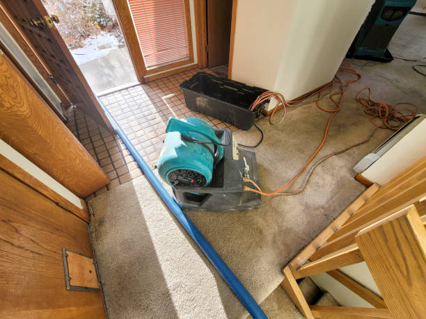 Best Flood damage cleanup  in Chesapeake Beach, MD