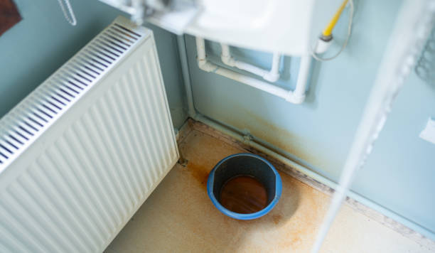 Best Water damage restoration mold remediation  in Chesapeake Beach, MD