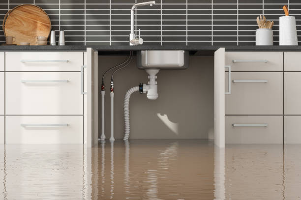Best Mold removal after water damage  in Chesapeake Beach, MD