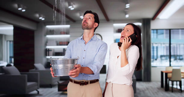 Best Basement water damage restoration  in Chesapeake Beach, MD