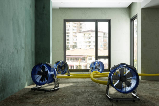 Best Sewage cleanup and water damage restoration  in Chesapeake Beach, MD